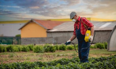 pesticidi i poljoprivreda crna gora