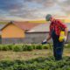 pesticidi i poljoprivreda crna gora