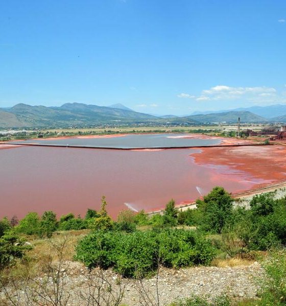 crven mulj crna gora