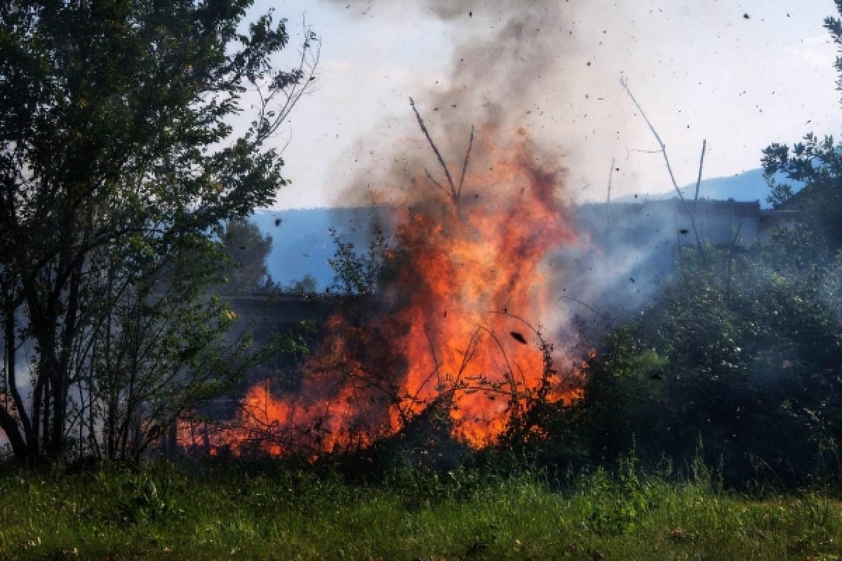 zabrana loženja vatre zeta