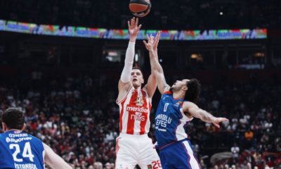 crvena zvezda efes