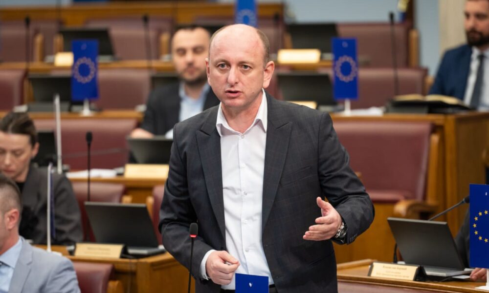 milan knežević koncesije