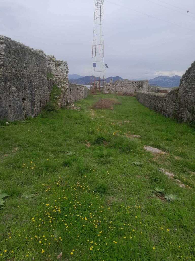 zetanews