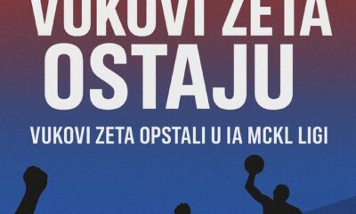 Vukovi zeta